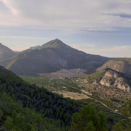 Les Moreres Gandía Eksteriør bilde