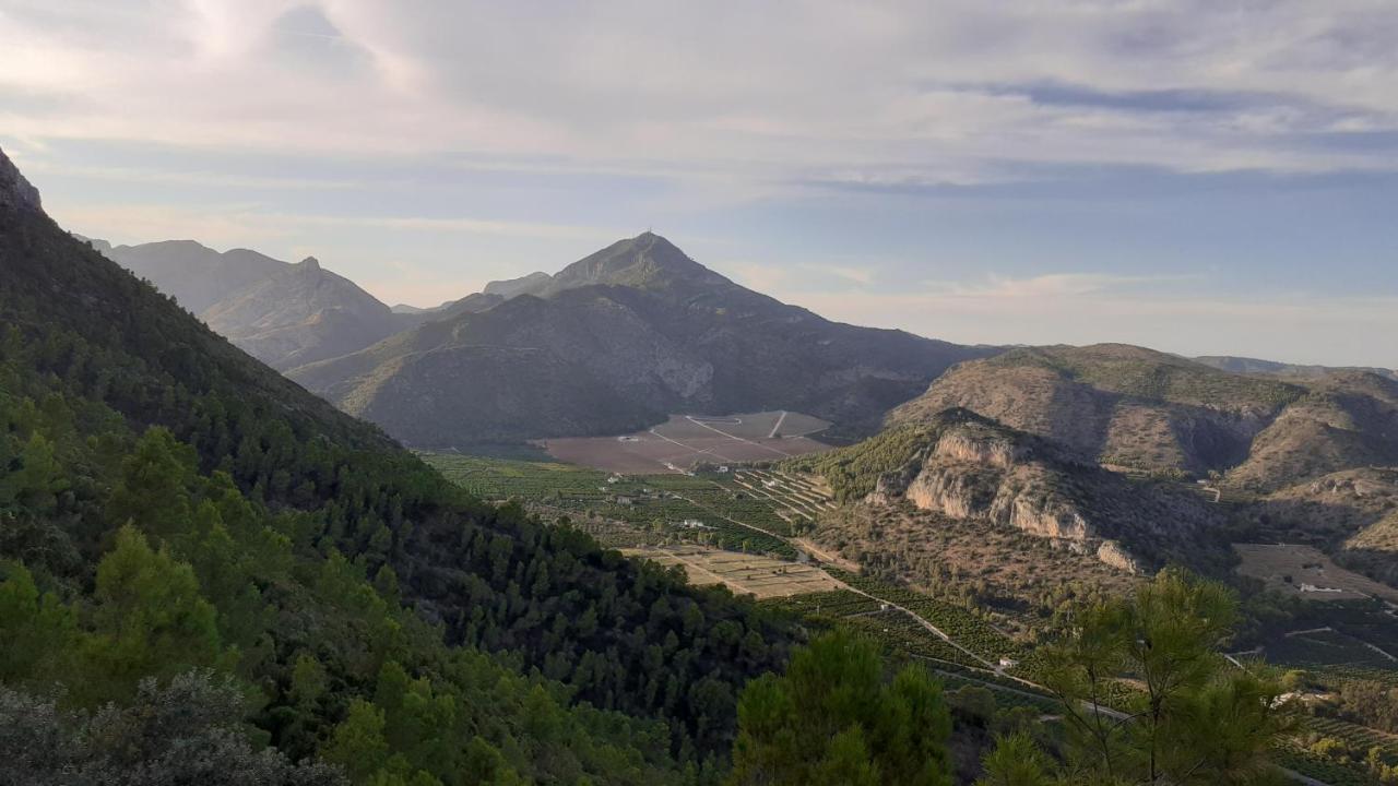 Les Moreres Gandía Eksteriør bilde